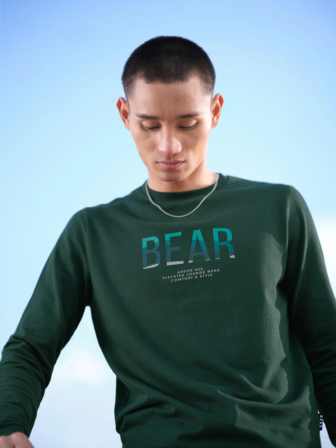 Bears - Image 3