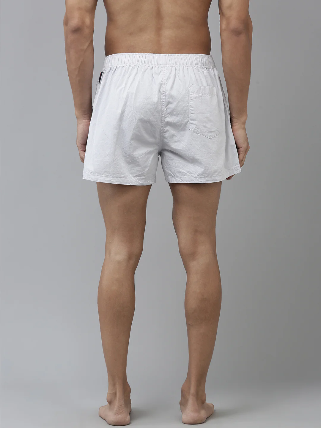 Cerdo - Image 5
