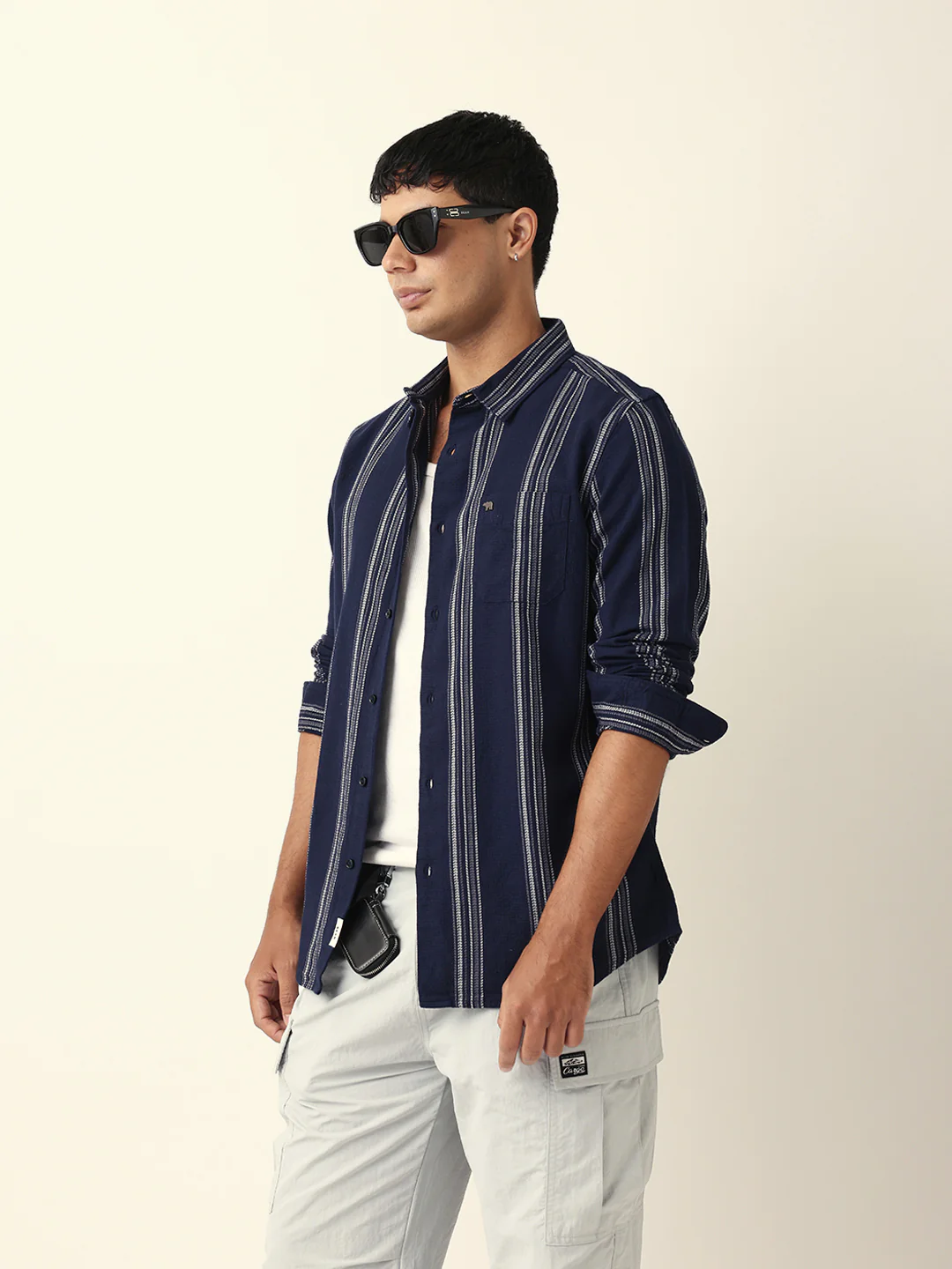 LANIS - Image 4