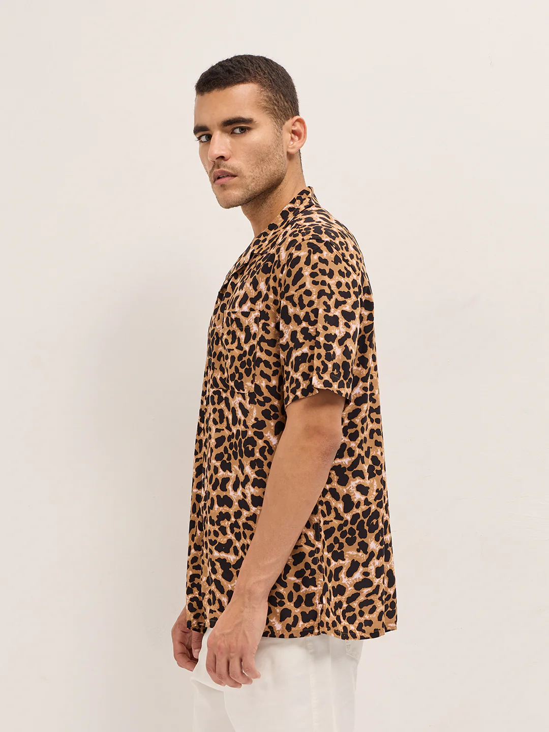 LEOPARDO - Image 3