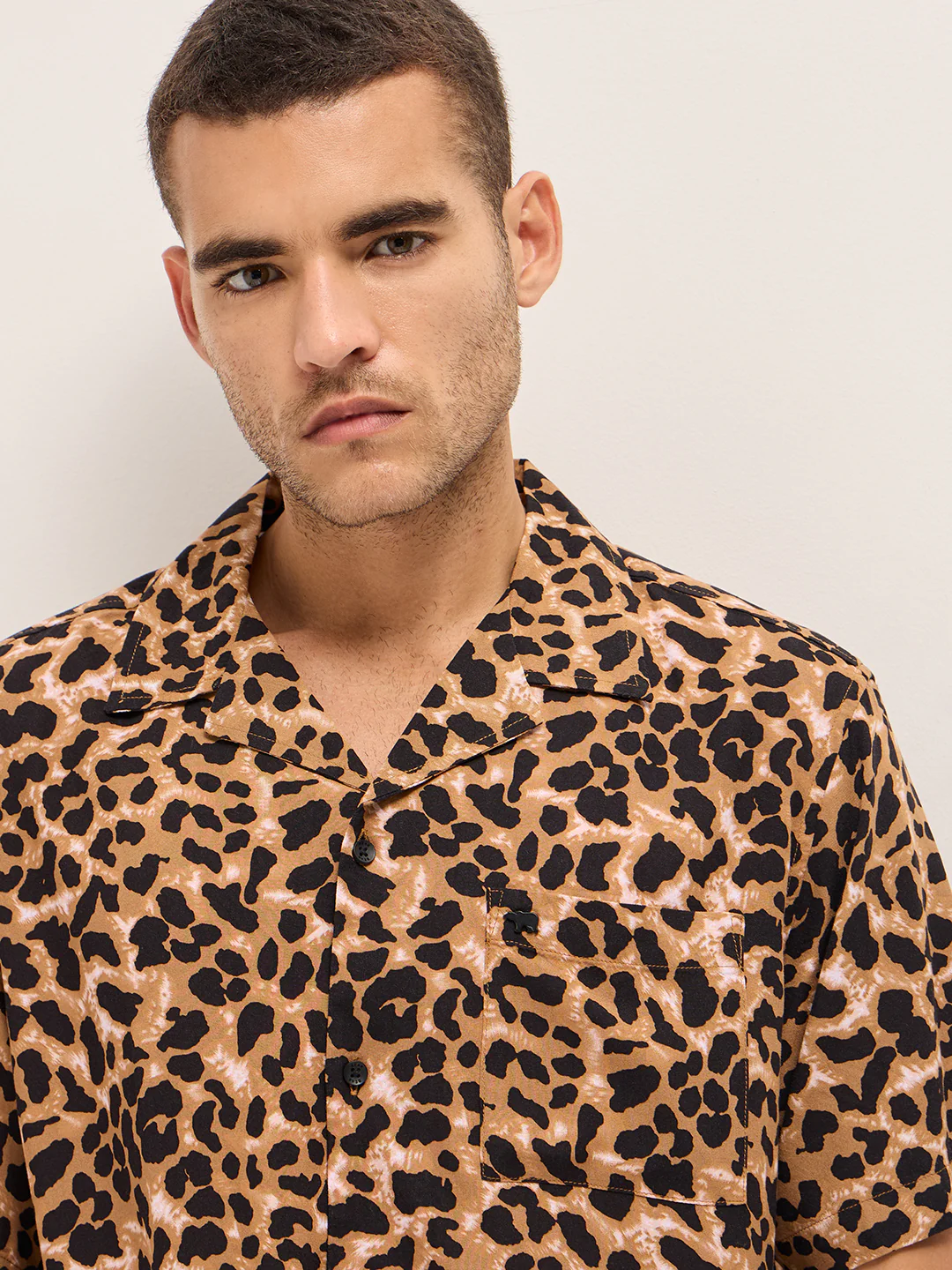 LEOPARDO - Image 5