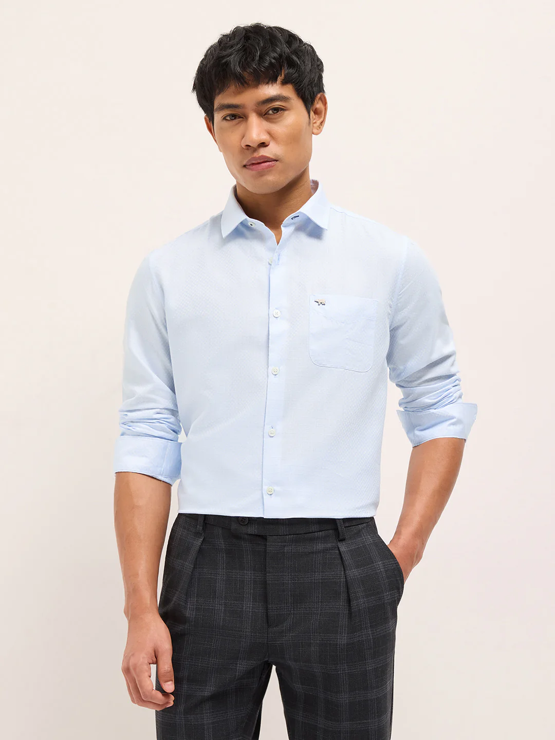 PECO - Image 6