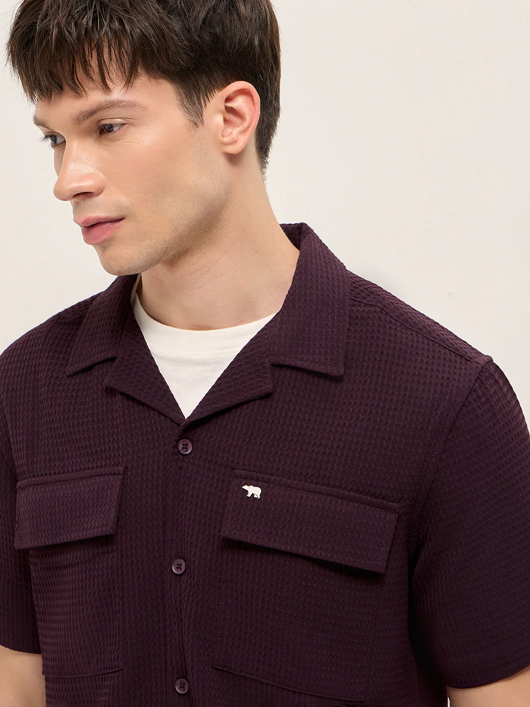 TBH-ADEB - Image 5