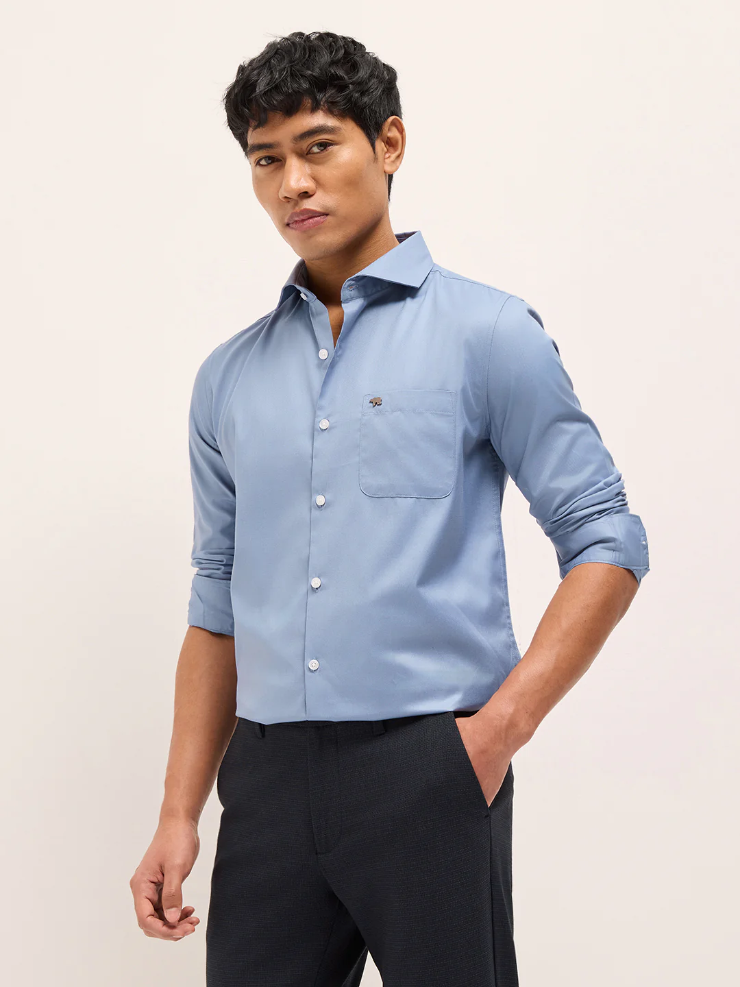 TRASE - Image 3